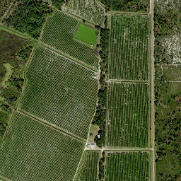 Neilson Florida High Resolution Satellite Map