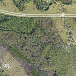 Yeehaw Florida High Resolution Satellite Map