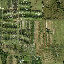 Bereah Florida High Resolution Satellite Map