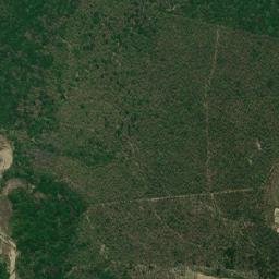 Jarwa map(satellite map)