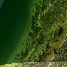 Fort Lonely Florida High Resolution Satellite Map