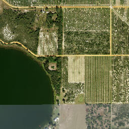Pittsburg Florida High Resolution Satellite Map