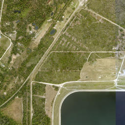 Willow Florida High Resolution Satellite Map