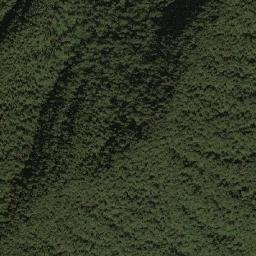Lower Subansiri map(satellite map)