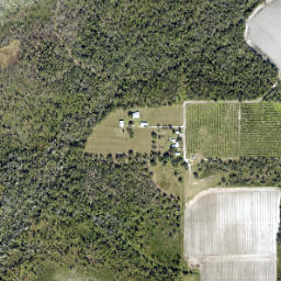 Keentown Florida High Resolution Satellite Map