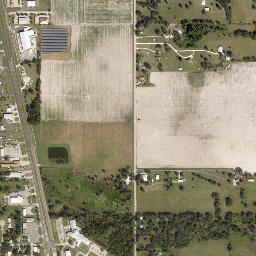 Coker Florida High Resolution Satellite Map