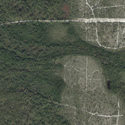Satellite view of Turtle Run Course