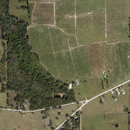 Griffins Corner Florida High Resolution Satellite Map