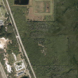 Viking Florida High Resolution Satellite Map
