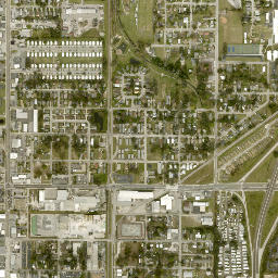 Palmetto map(satellite map)