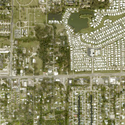 Ellenton map(satellite map)
