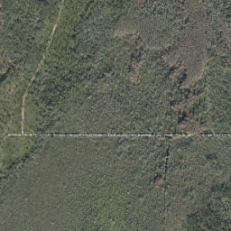 Satellite view of The Country Club of Sebring