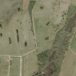 Eagle Island Florida High Resolution Satellite Map