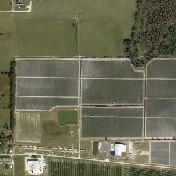 Buchanan Florida High Resolution Satellite Map