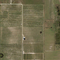 Crewsville Florida High Resolution Satellite Map