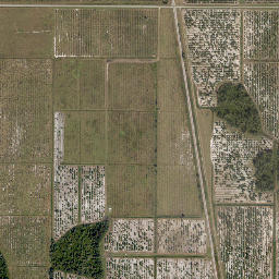 Bridges Florida High Resolution Satellite Map