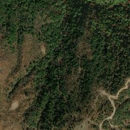 West Kameng map(satellite map)