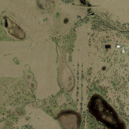 Basinger Florida High Resolution Satellite Map