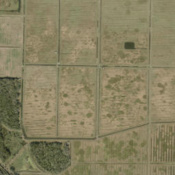 Okeechobee County map(satellite map)