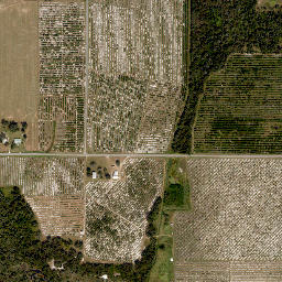 Lily Florida High Resolution Satellite Map