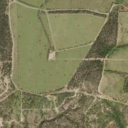El Cenizo map(satellite map)