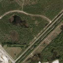 Carlton Florida High Resolution Satellite Map