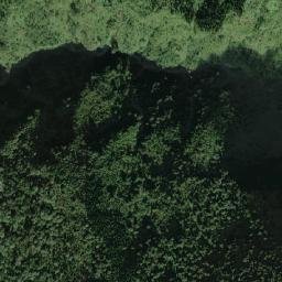 East District map(satellite map)