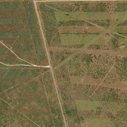 Farm to Market 649, Mirando City, TX 78369 High Resolution Satellite Map