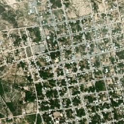Ocampo map(satellite map)