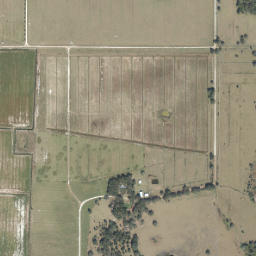 Negrotown Knoll Florida High Resolution Satellite Map