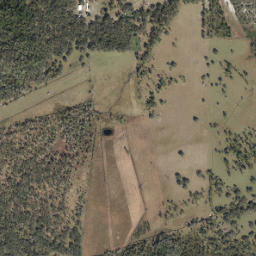 Hen Scratch Florida High Resolution Satellite Map