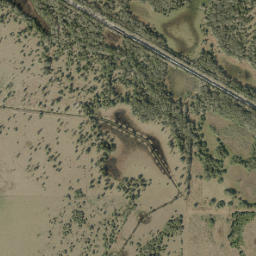 Mildred Florida High Resolution Satellite Map