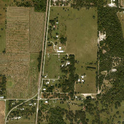 Lansing Florida High Resolution Satellite Map