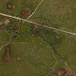 Honore Florida High Resolution Satellite Map