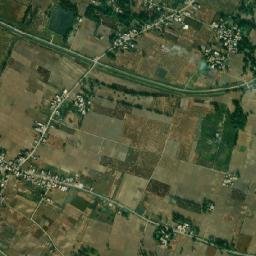 Domariaganj map(satellite map)