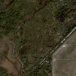 Bluefield Florida High Resolution Satellite Map