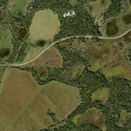 Sidell Florida High Resolution Satellite Map