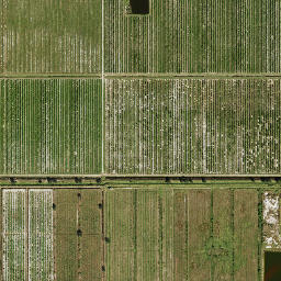 Sparkman Florida High Resolution Satellite Map