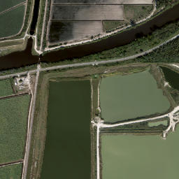 Port Mayaca Florida High Resolution Satellite Map