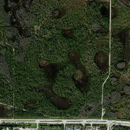 Rood Florida High Resolution Satellite Map