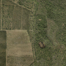 Hall City Florida High Resolution Satellite Map