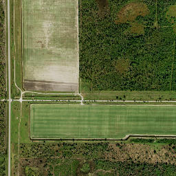 Tuckers Corner Florida High Resolution Satellite Map