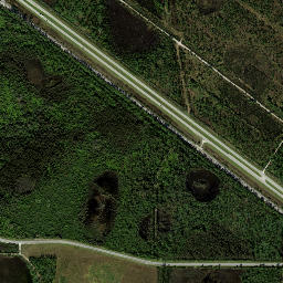 Delta Florida High Resolution Satellite Map