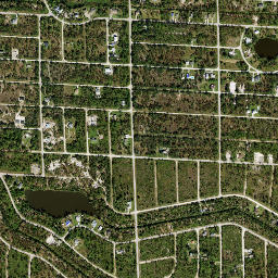 Tropical Gulf Acres Florida High Resolution Satellite Map