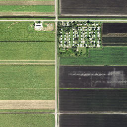 Pelican Lake Florida High Resolution Satellite Map