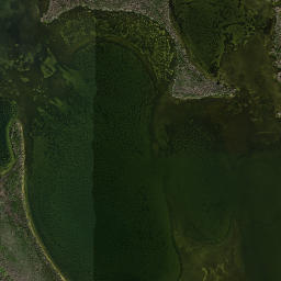 Cayo Pelau Florida High Resolution Satellite Map