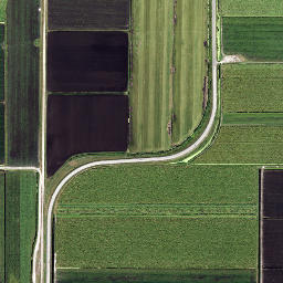 Cardwell Florida High Resolution Satellite Map