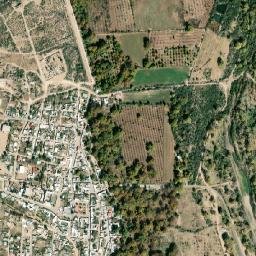 José Esteban Coronado map(satellite map)