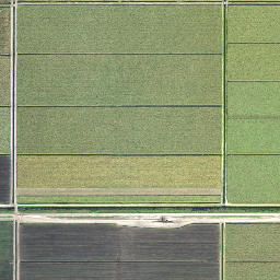 Mott Florida High Resolution Satellite Map