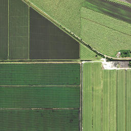 Bean City Florida High Resolution Satellite Map